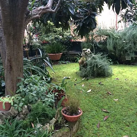 Daire Rose House Cisterna di Latina